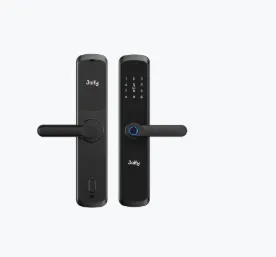 [DLBS-Q20PRO] Smart Lock